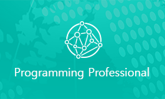 Programming Professional